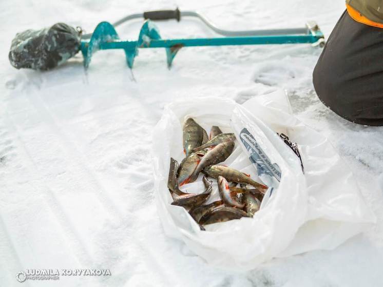 Рыбаки Карелии поборются за улов в деревне Куганаволок