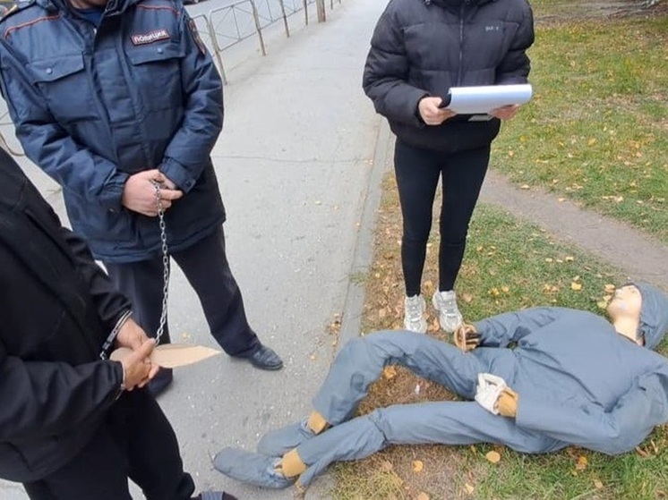 В Новосибирске мигрант предстанет перед судом по обвинению в попытке убийства сожительницы