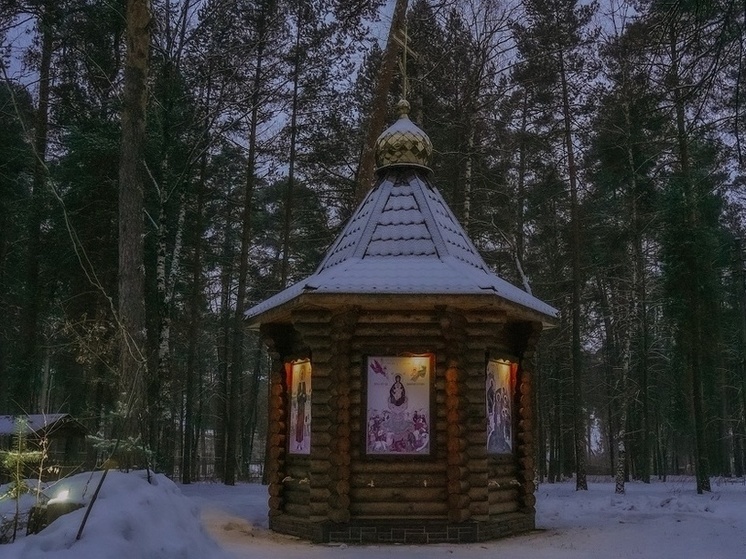 Священник РПЦ рассказал, как тулякам правильно молиться за больных