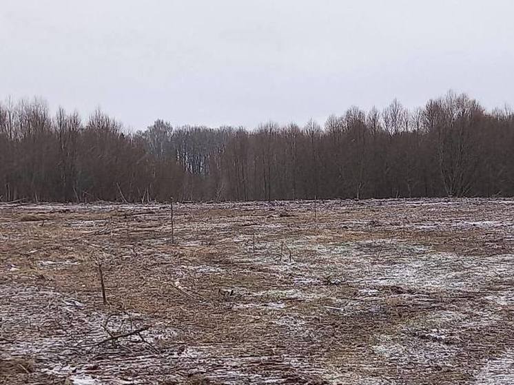 Медынский район очистили от свалки