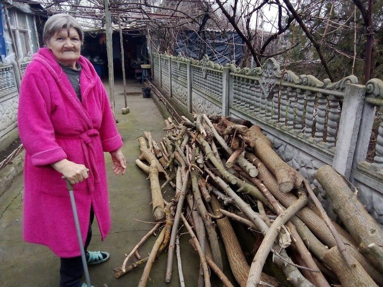 Жителям херсонского села Новокаменка доставили дрова