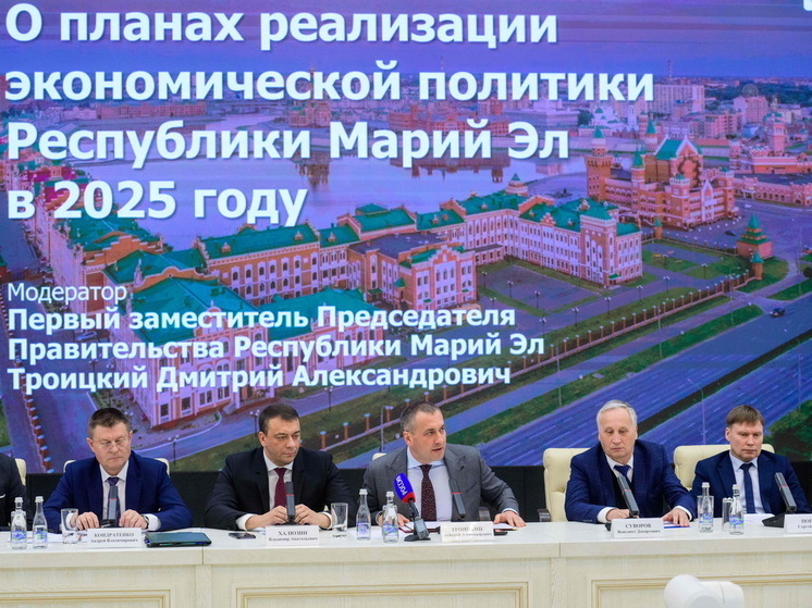 В Марий Эл действуют меры поддержки для всех отраслей бизнеса