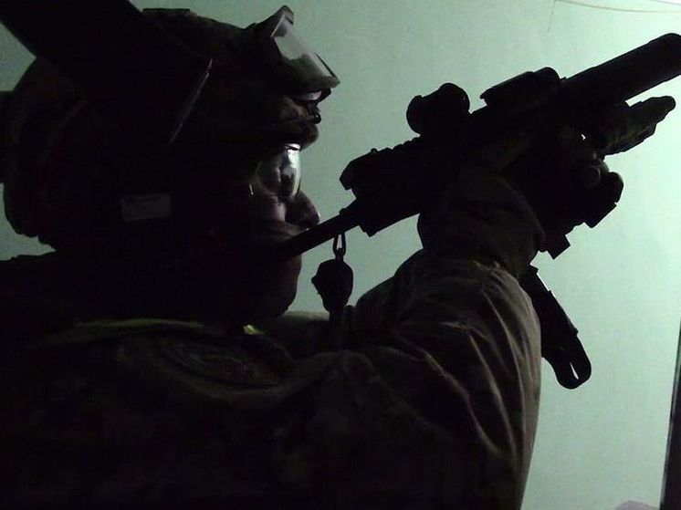 ФСБ задержала склонявшего российских военных вступать в ВСУ сторонника «Азова»