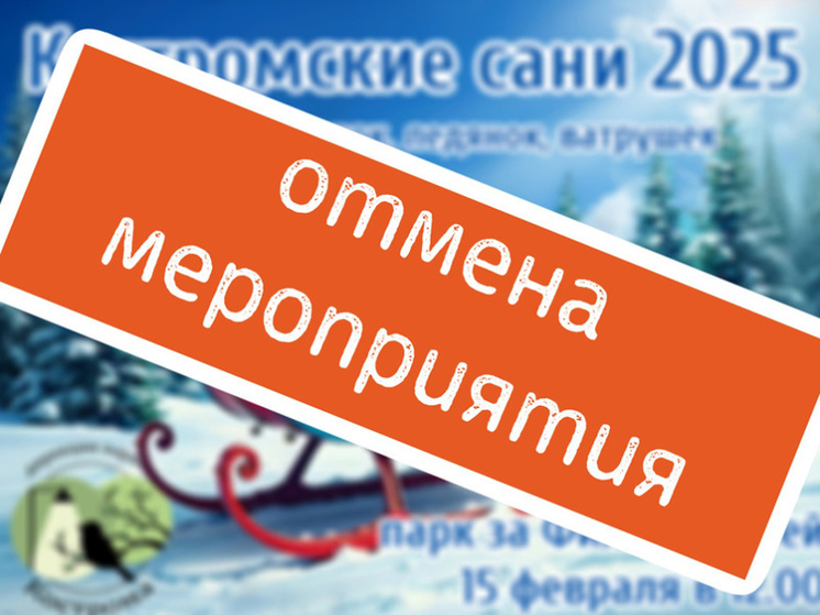 В Костроме «Фестиваль санок» отменился из-за погоды