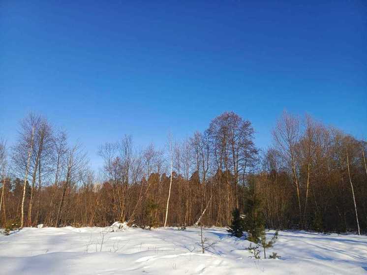 Сотрудник заповедника Марий Эл считает, что весна будет ранней