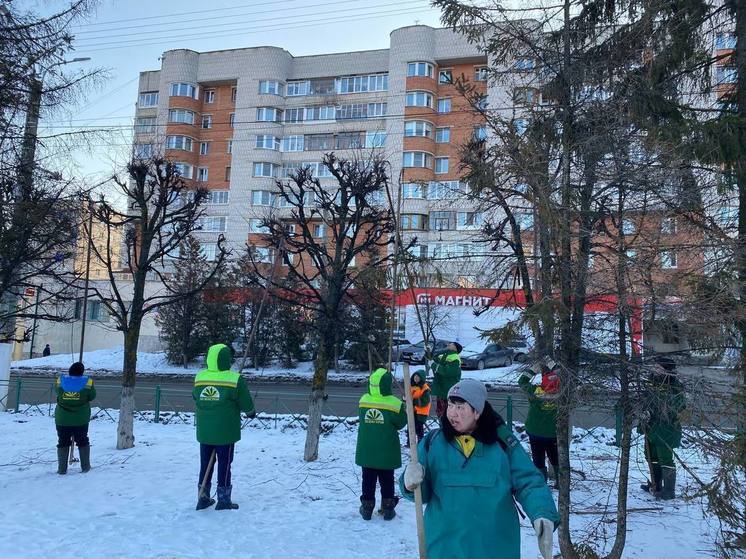 В Чебоксарах провели обрезку почти трех тысяч деревьев