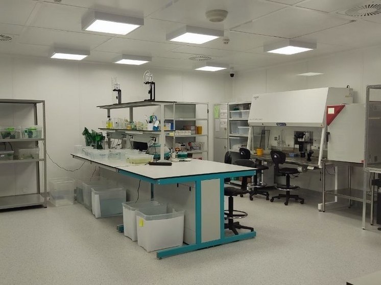 Музей Хакасии установит кондиционер для защиты древнейшего артефакта от разрушения