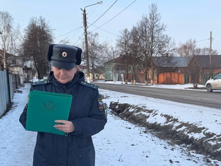 Женщину в Цивильском округе лишат свободы за долги по алиментам