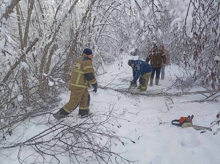 Энергетики за несколько дней убрали 13 тысяч деревьев с новгородских ЛЭП