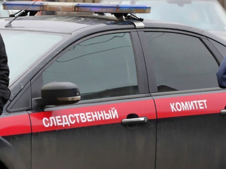 СК:в Черняховске задержали мать убитого отчимом мальчика