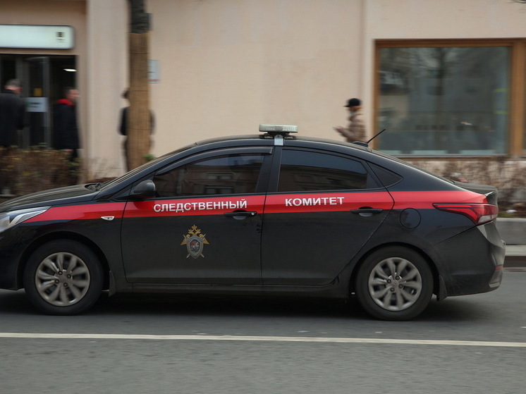 Бастрыкин поручил возбудить дело из-за угроз главреду ИА "Регнум" Ахмедовой