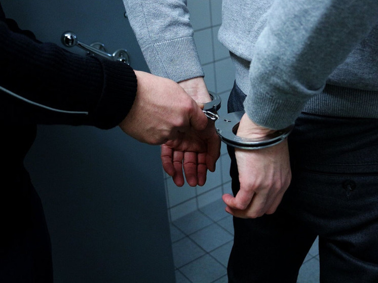 ТАСС: заммэра Киева Петра Оленича подозревают в завладении землей