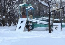 Детство, куда же ты исчезло? В какие края оно уходит, и как отыскать способ, чтобы туда вернуться? Если ненадолго отвлечься от повседневных забот, остановиться и вспомнить то далекое время, когда мы были детьми, то в голову приходят наши дворовые игры