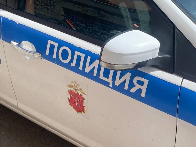 В Мурино задержали мужчину, причастного к разбою в Новом Девяткино