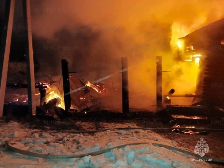 Сотрудники МЧС потушили пожар в Алатыре