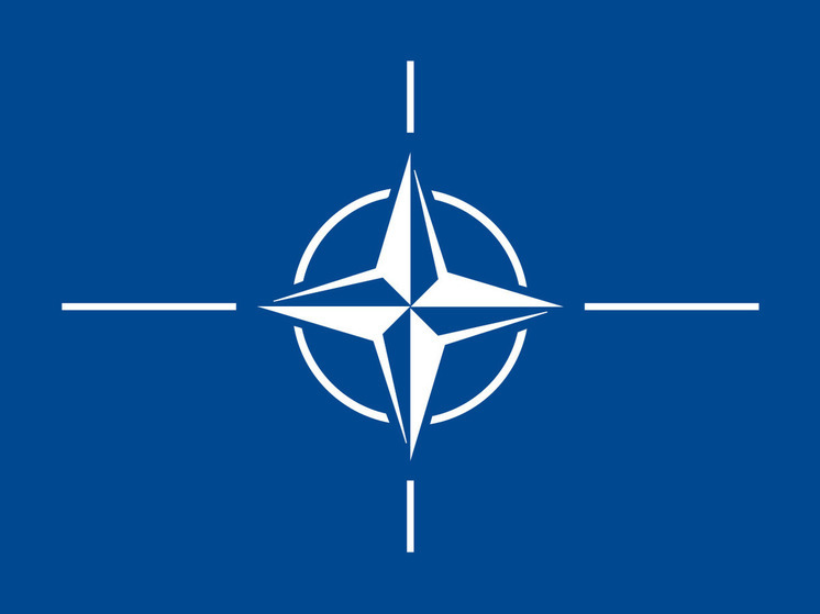 Олаф Шольц призвал увеличить присутствие НАТО в Гренландии