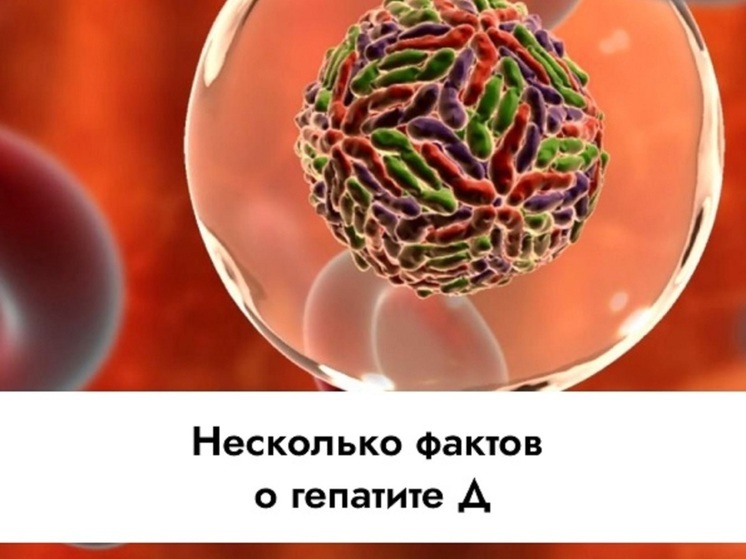 Гепатит D: опасный вирус, поражающий печень