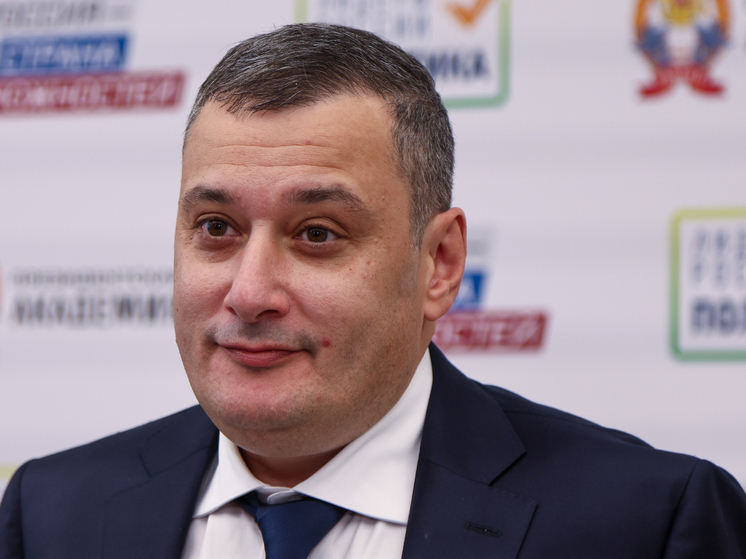 Хинштейн предложил создать отдельную "горячую линию" для пресечения мародерств