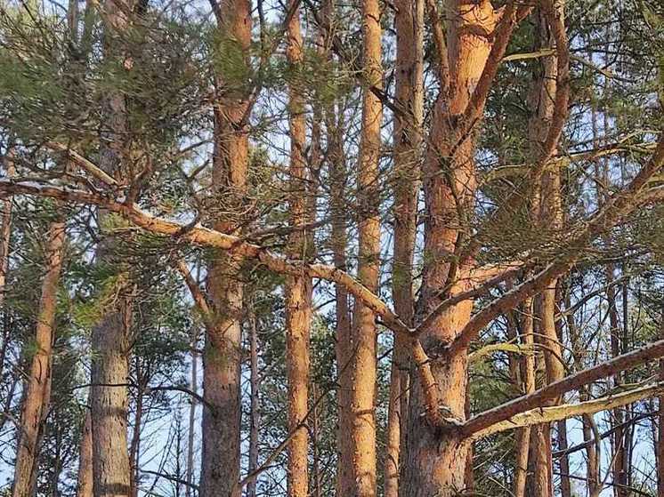В Калужскую область возвращаются холода