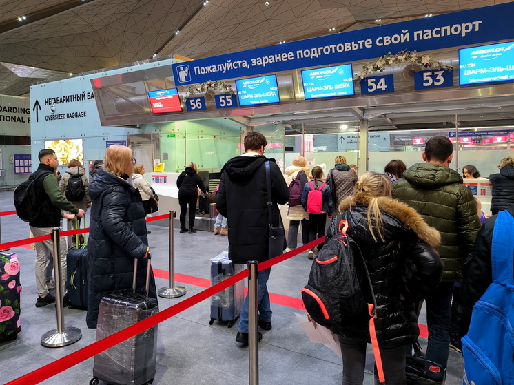 Представитель Росавиации Кореняко сообщил о временном ограничении полетов в Пулково
