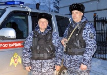 Сотрудники отдела вневедомственной охраны по городу Барнаулу прапорщики полиции Виталий Дементьев и Алексей Шаповалов пришли на помощь водителю и пассажирам неисправного автомобиля. 1 февраля они увидели, что на улице Белинского поселка «Южный» сломалась машина ВАЗ-2107