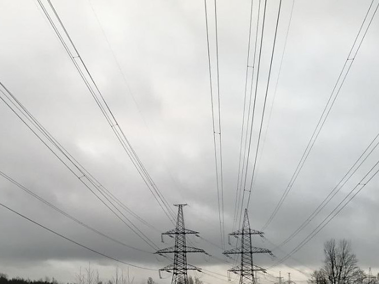 К электроснабжению осталось подключить 11 жителей Маловишерского района