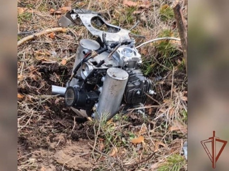 В ЛНР обезвредили украинский беспилотник