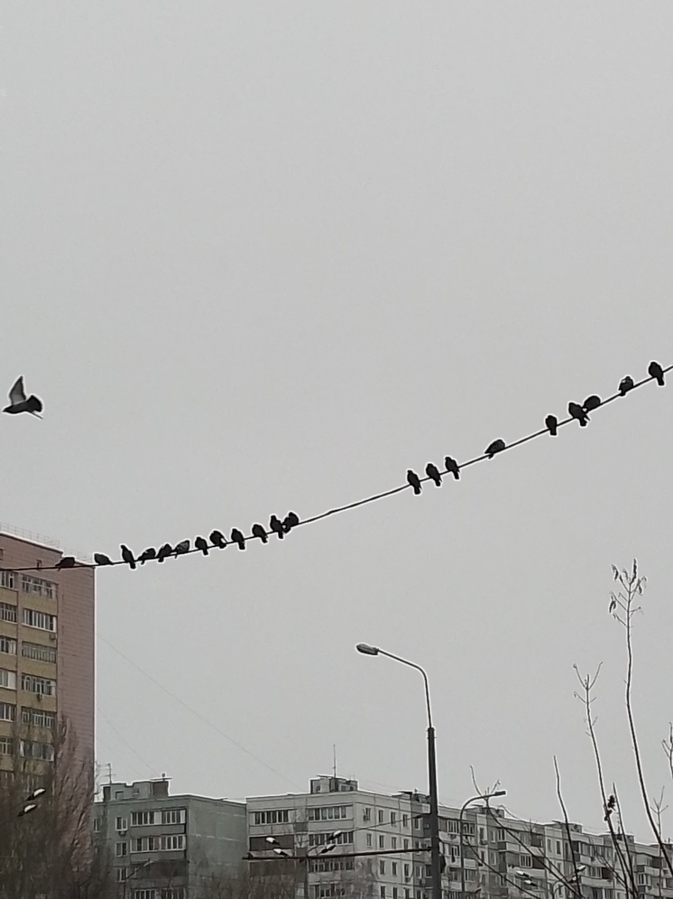 В Татарстане неделя начнется с мокрого снега