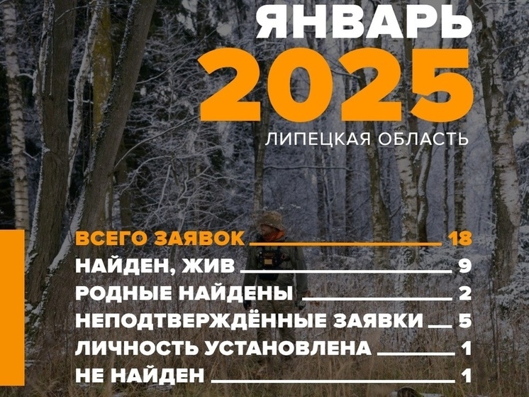 18 заявок на поиск пропавших людей получил липецкий отряд «ЛизаАлерт»