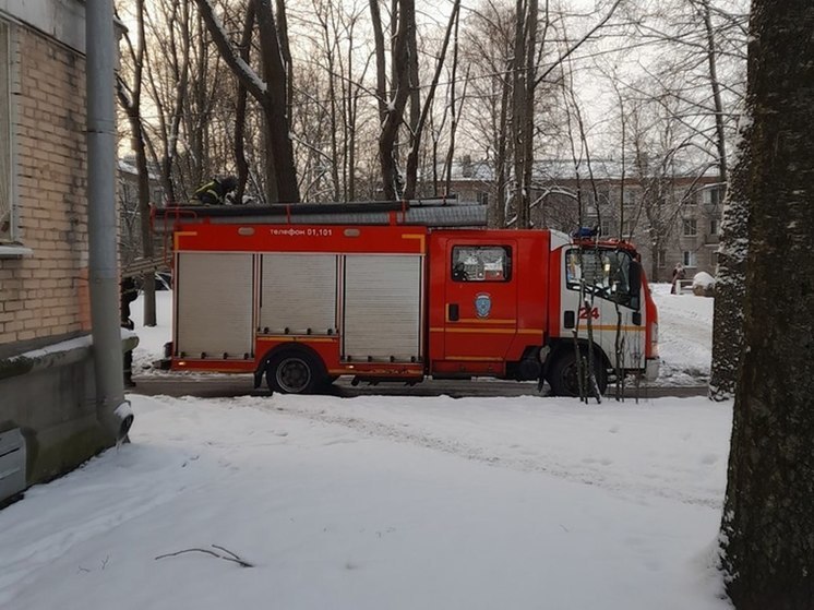 На Кубинской улице в Петербурге сгорели шесть бытовок