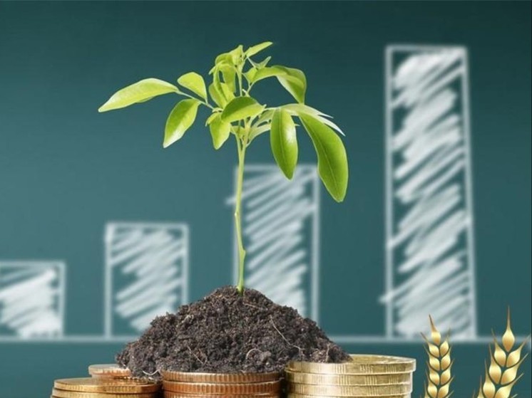 В Орловской области на 22,1% выросла зарплата работников агропромышленного комплекса