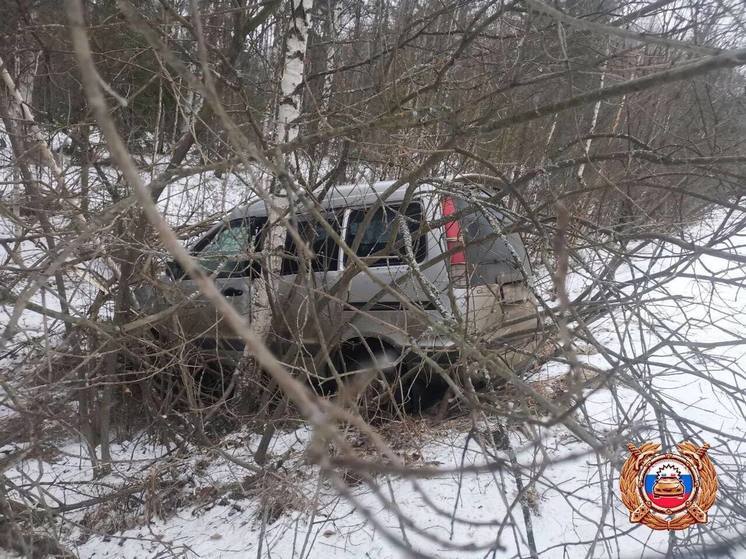 В Тверской области иномарка вылетела в кювет