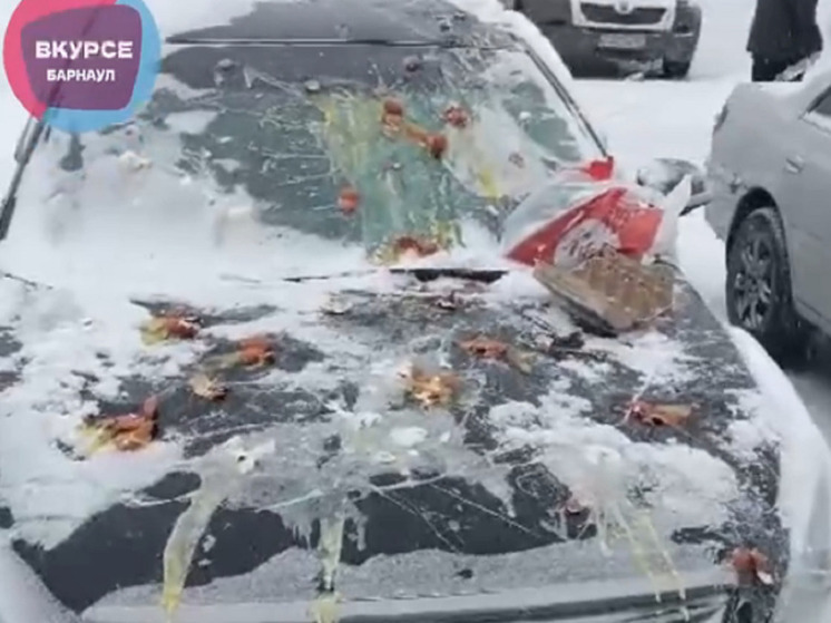 В Барнауле рассерженная девушка забросала яйцами припаркованный автомобиль