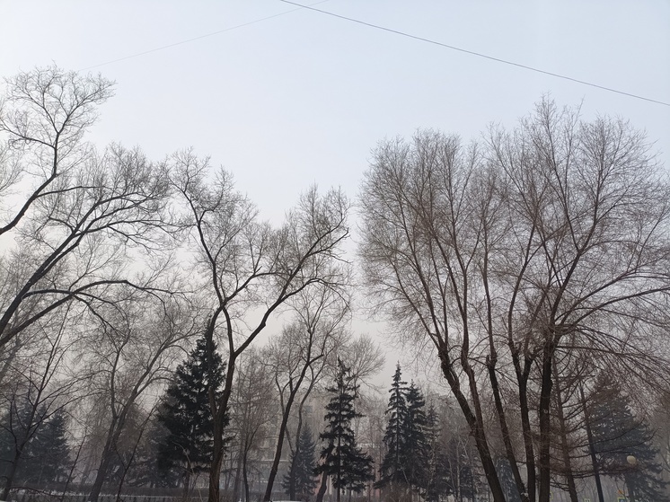 Синоптики Хакасии пообещали сильный ветер и снегопады