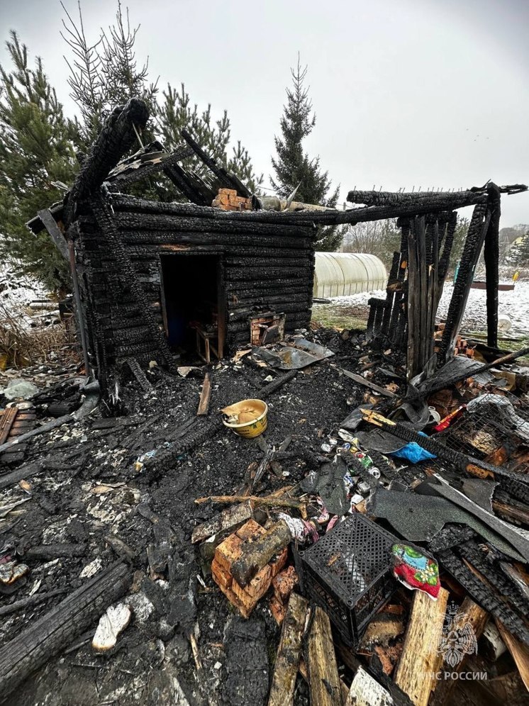 7 пожарных ликвидировали возгорание в Великолукском районе