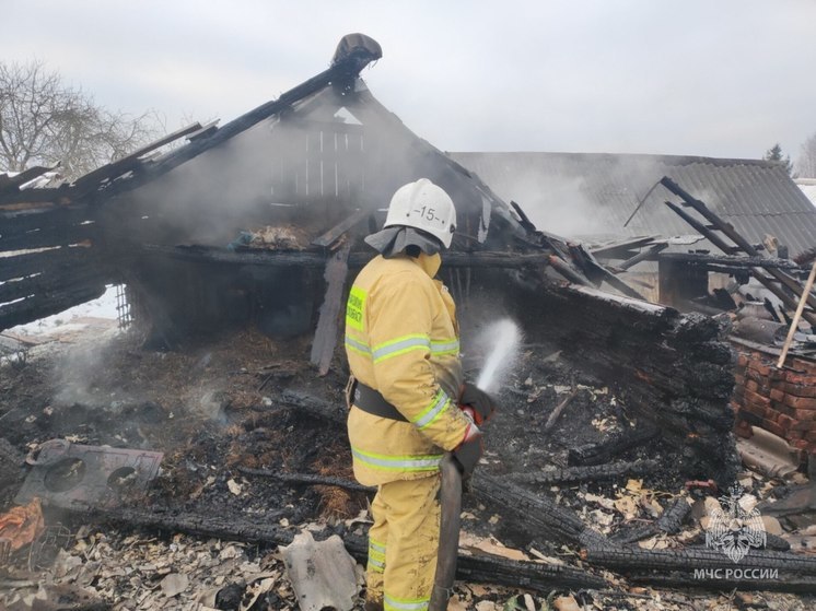 Пожарные спасли жилой дом в Псковском районе