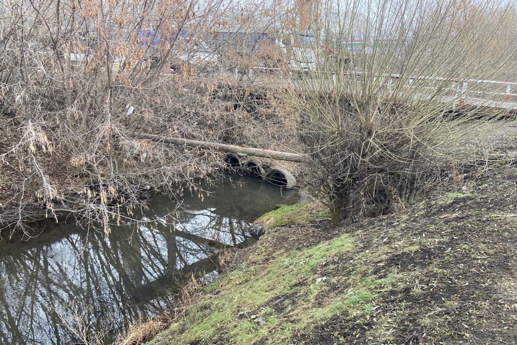 Прогноз рубля к сому на месяц. Прогноз рубля к сому на месяц