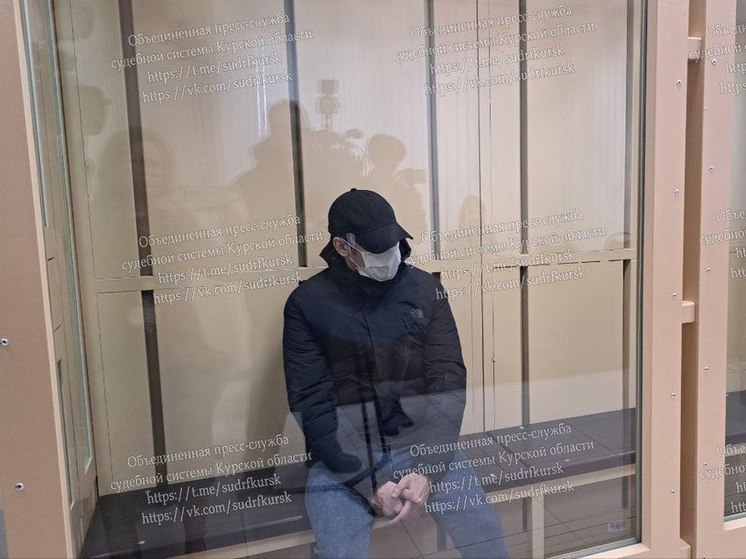 В Курске мужчину приговорили к 20,5 годам лишения свободы за госизмену и диверсию