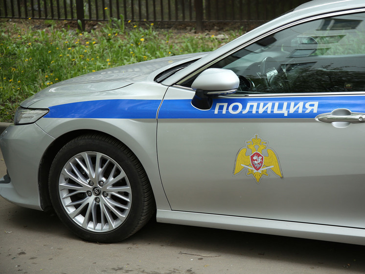 МВД: в Красноярске началась проверка из-за жестокого обращения с животными