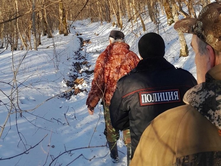 В госприродном заказнике «Горячеключевской» нелегально добыли 2 самки кабана