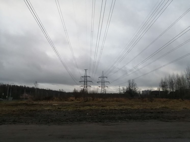 В Калининградской области позицию руководителя «Россети Янтарь» занял Денис Ягодка.