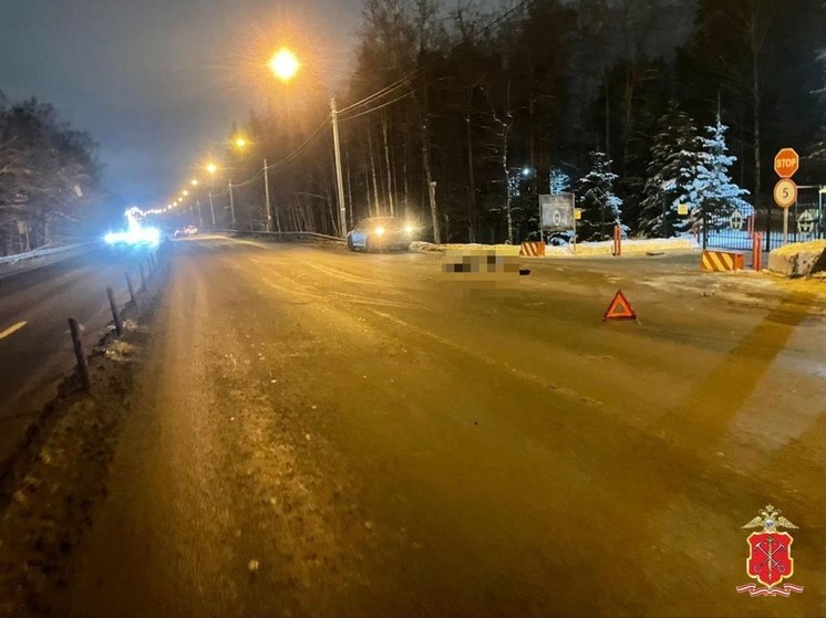 Во Всеволожском районе машина сбила пешехода, перебегавшего дорогу