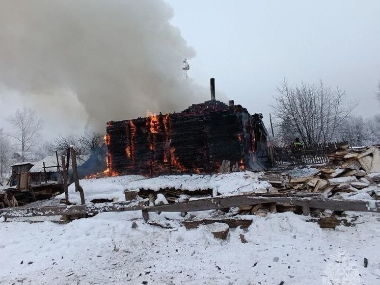Пенсионер погиб при пожаре в Нижегородской области