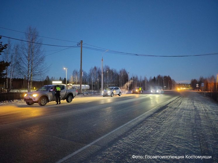 В Карелии начались массовые рейды ДПС