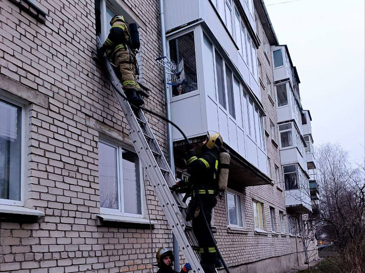 Калининградские пожарные ликвидировали возгорание в Гусевском муниципалитете