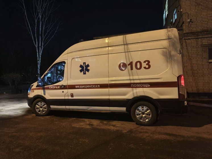 Десятилетнюю девочку, пострадавшую от бездомных собак в Николаевске-на-Амуре, доставили в хабаровскую больницу