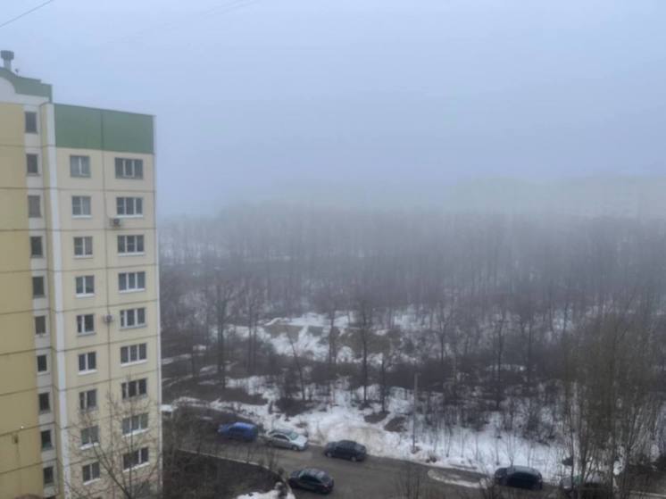 Туман накроет Воронежскую область