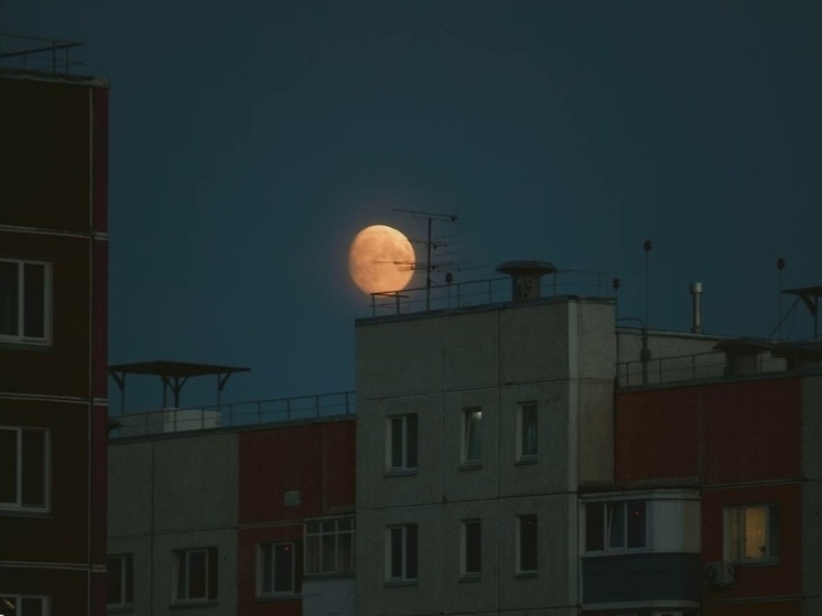 Тулякам рассказали, зачем нужно смотреть на Луну в Лаврентьев день