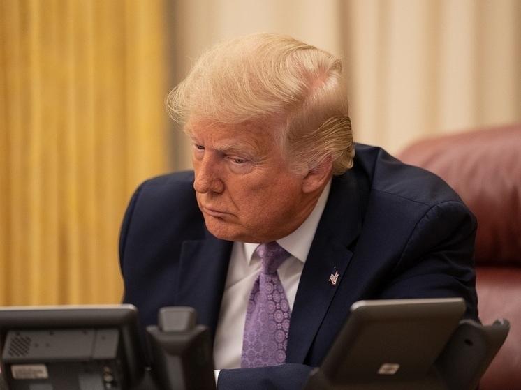 Политолог Еловский: заявления Трампа о разговоре с Путиным, скорее всего, являются вбросом