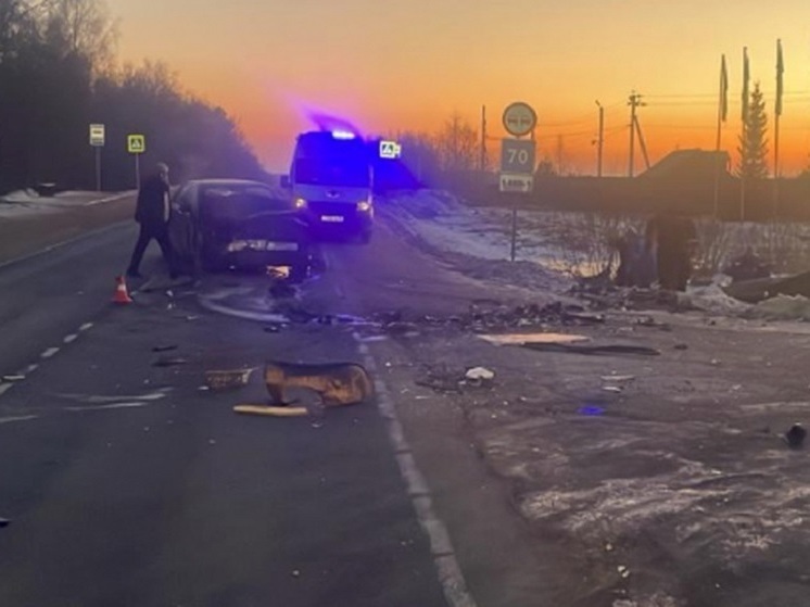 За неделю во Владимирской области в авариях погибло 6 человек